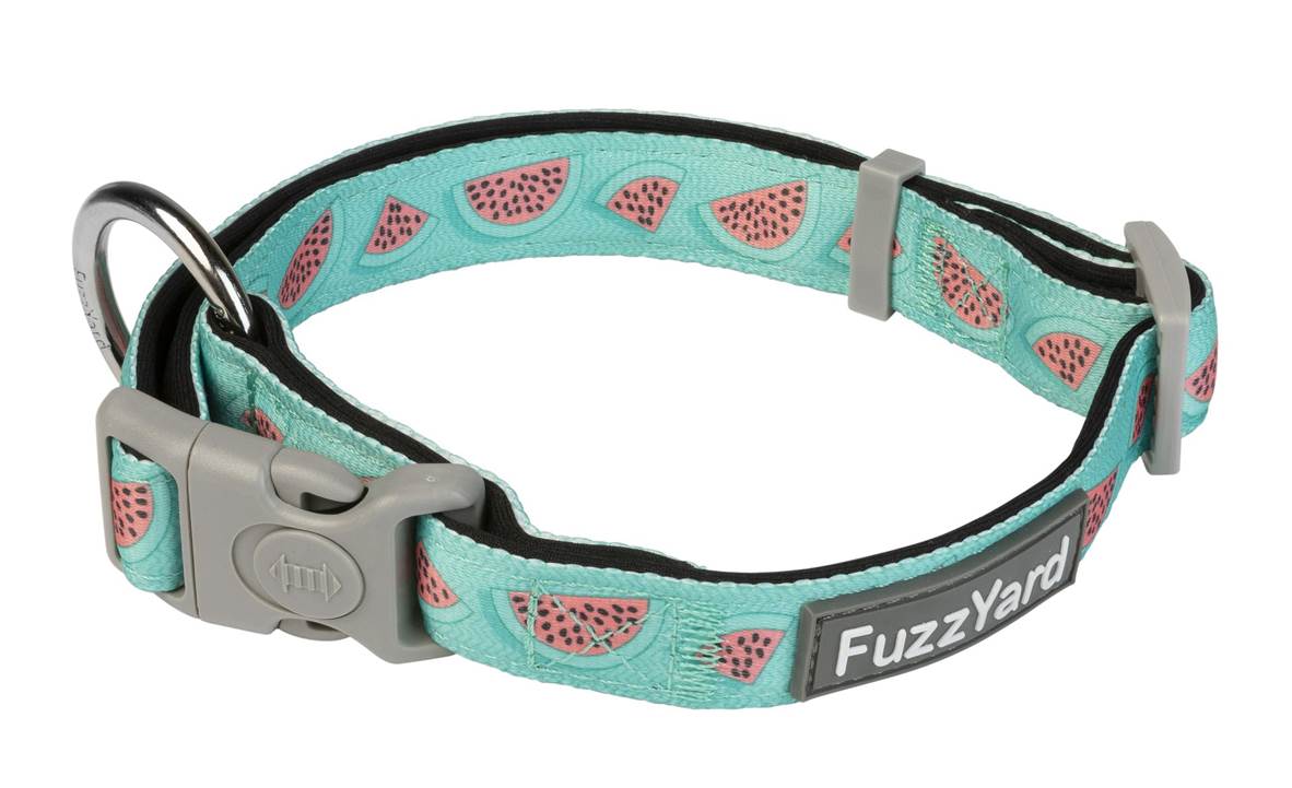 FuzzYard Dog Collar