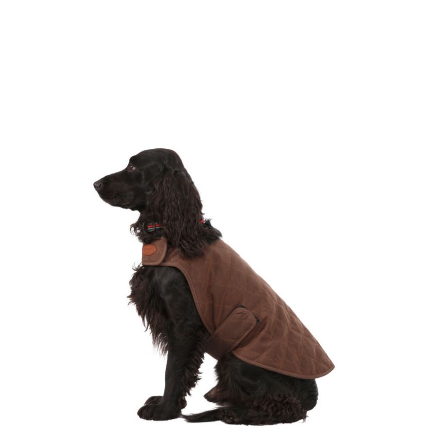 Artemis Dog Quilted Jacket