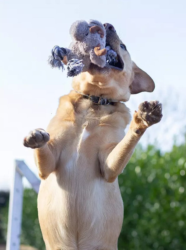 Reindeer Toy With Sound 49cm