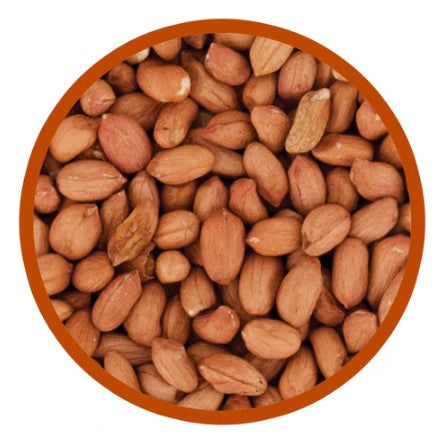 Harrisons Premier Peanuts 12.75kg