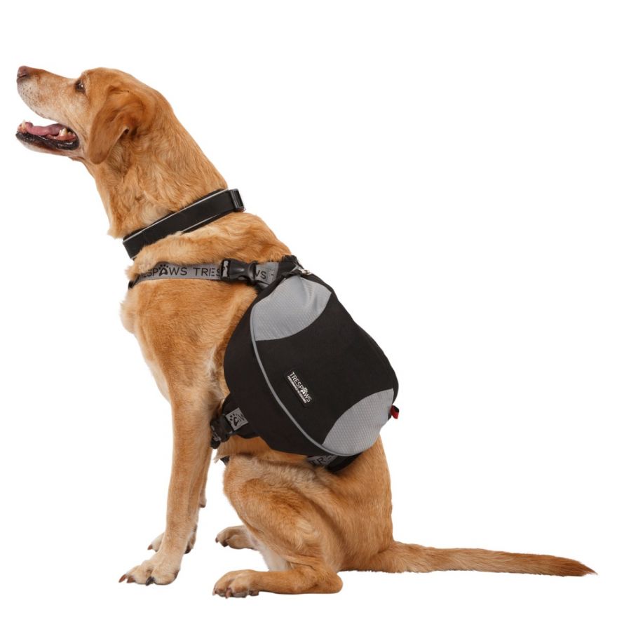 Large dog backpack harness hotsell