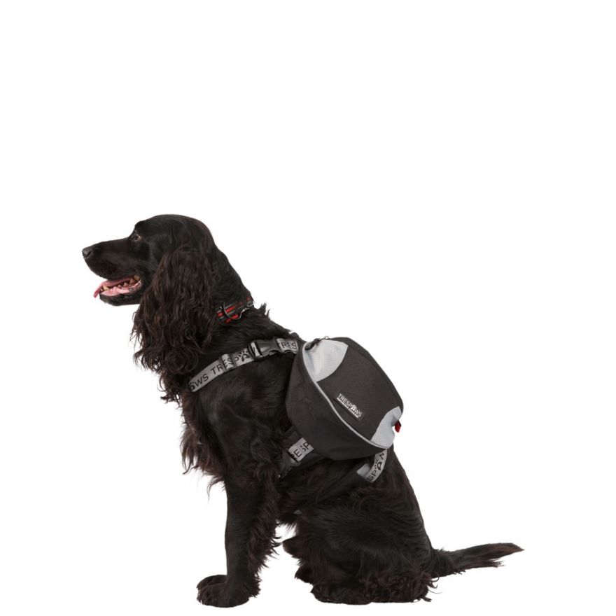 Backpack Harness