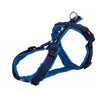 Premium Trekking Harness