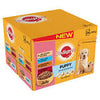 Pedigree Pouch In Jelly Puppy 24x100g