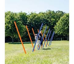 Agility Slalom 3x115cm Blue & Orange