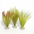 Sydeco Natural Plants Amazonia 22cm