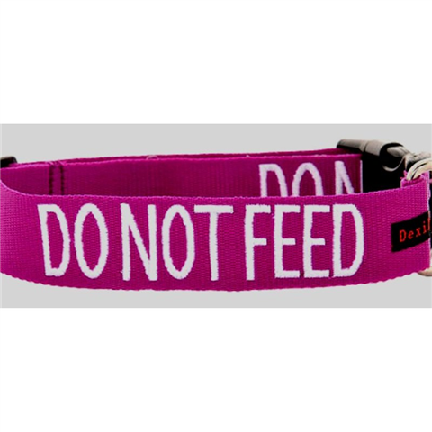 Do Not Feed Snap Collar