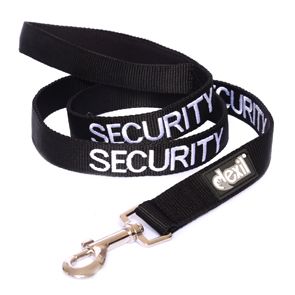 Security Lead