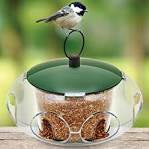 Peckish Small Bird Seed Feeder
