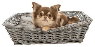 Be Nordic Basket With Cushion Grey