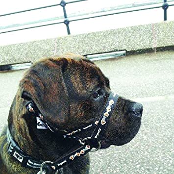 Padded Dogmatic Headcollar Size 3L Black