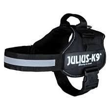 Julius K9 Power Harness