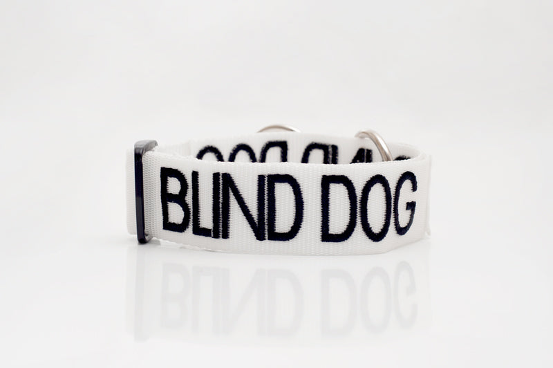 Blind Dog Snap Collar