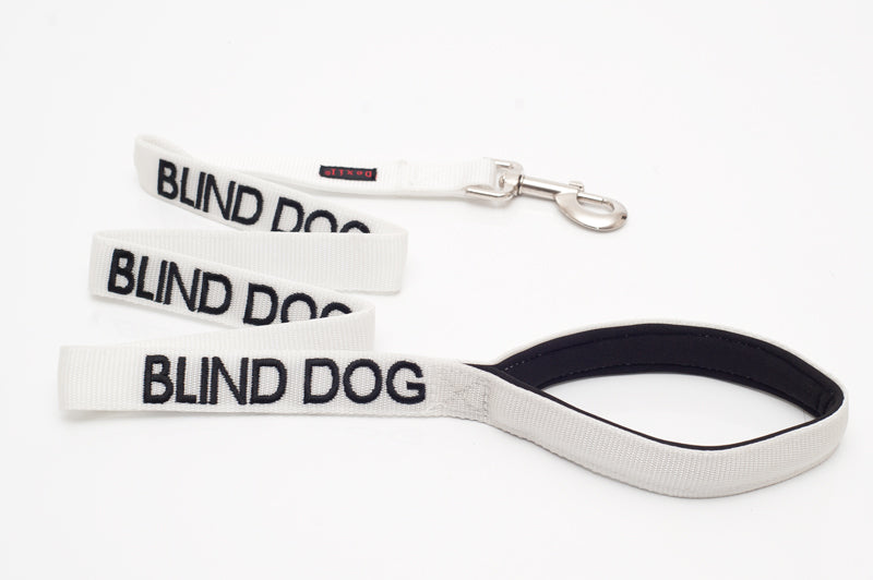 Blind Dog Lead