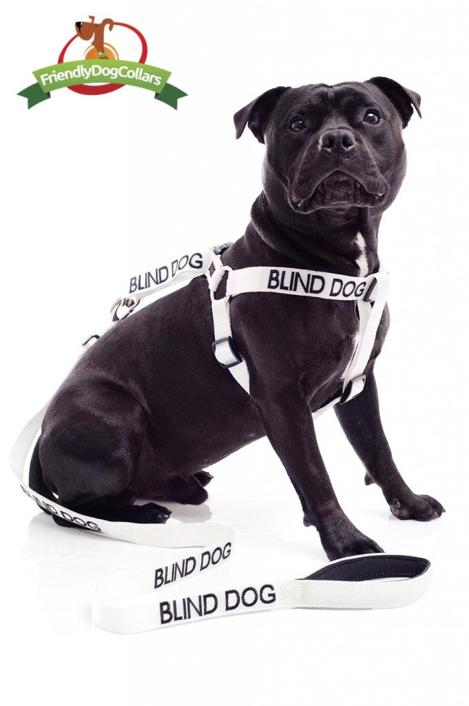 Blind Dog Strap Harness