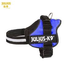 Julius K9 Power Harness