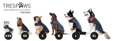 TresPaws Kimmi Quilted Dog Jacket Flint Grey