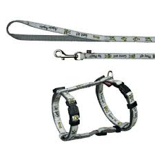Buddy Harness With Lead X-Small - Small 28-45cm 10mm 1.20M Grey