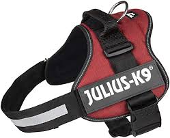 Julius K9 Power Harness