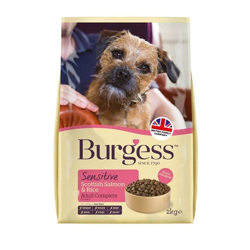 Burgess SensitiveSalmon and Rice 12.5kg