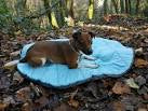 Henry Wag  Alpine Travel Bed
