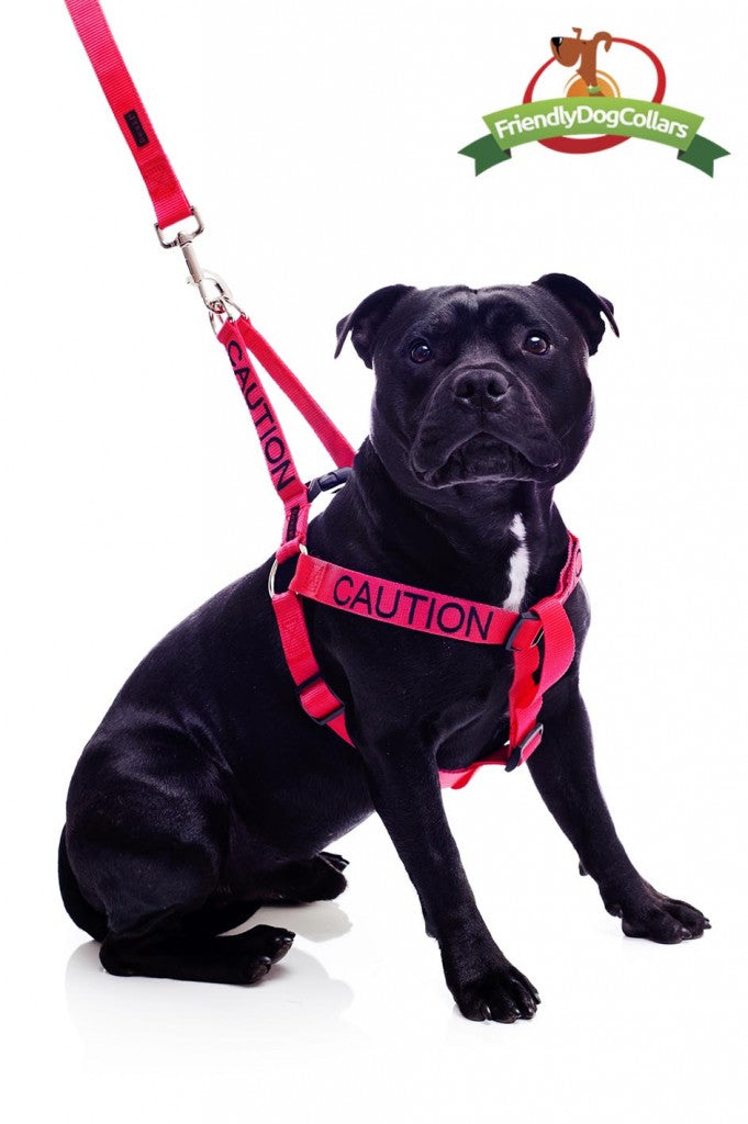Caution Strap Harness
