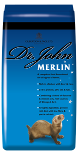 Dr. John Merlin