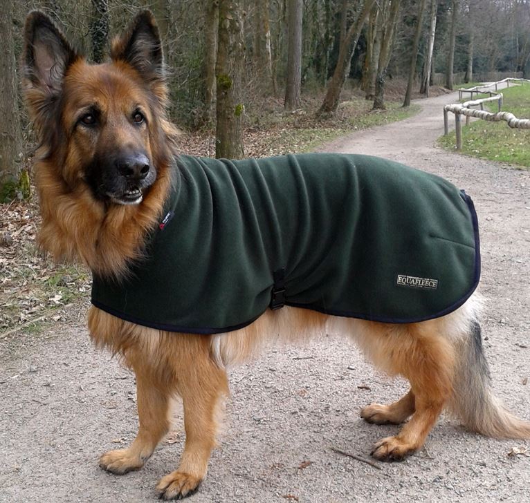 German shepherd hot sale dog jacket