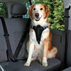 Dog Car Harness Small – Medium 40–55cm 20mm Black