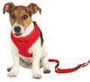 Puppy harness with lead 33–47 cm/10 mm, 2.00 m, red