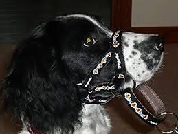 Padded Dogmatic Headcollar Size 1 Black