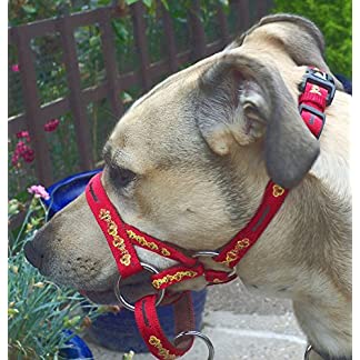 Padded Dogmatic Headcollar Size 8 Red