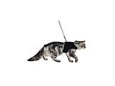 Soft harness with leash for cats, XL 36-54 cm, 1.20 m, black