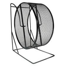 Exercise wheel 28cm