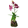 Lucky Reptile Upright Purple Orchid - 35cm