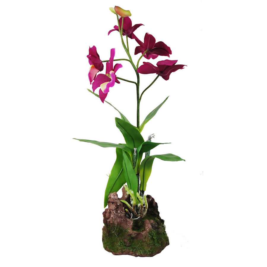 Lucky Reptile Upright Purple Orchid - 35cm