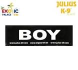 2 Julius-K9 Velcro stickers S, Boy