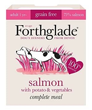 Forthglade Complete Grain Free Adult Salmon & Potato 395g