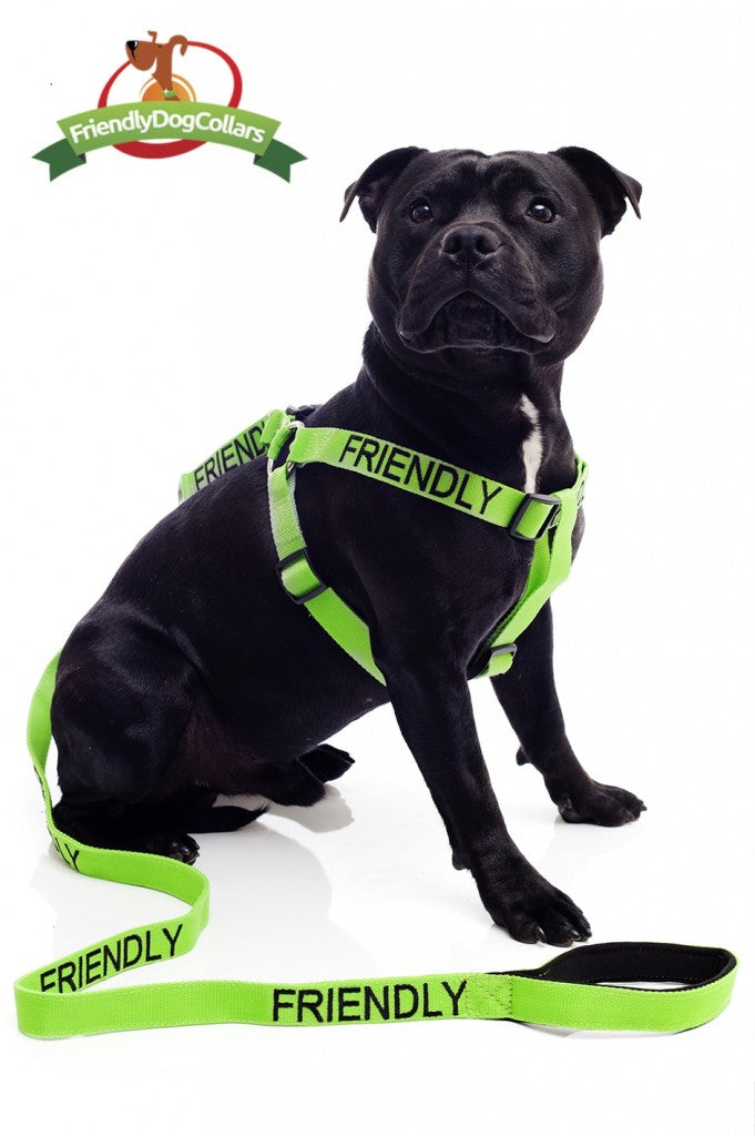 Friendly Strap Harness
