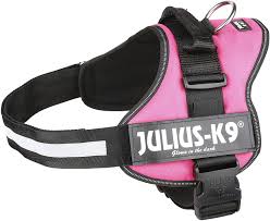 Julius K9 Power Harness
