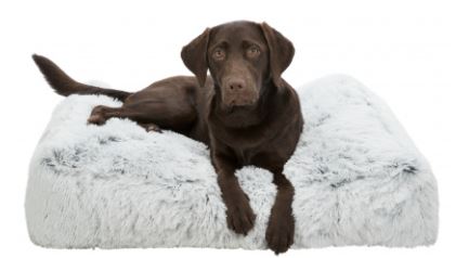 Harvey Cushion Square 100x70cm White/Black