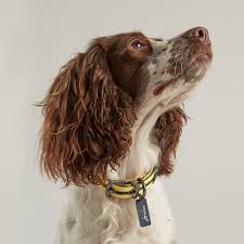 Joules Navy Coastal Collar X-Large