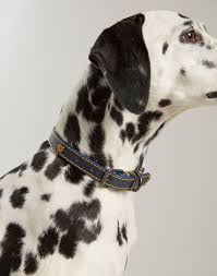 Joules Navy Leather Collar X-Large