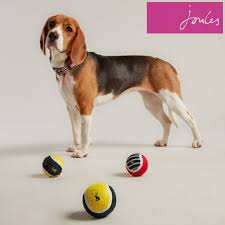 Joules 3 Pack Tennis Balls Gift Bag