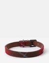 Joules Red Tweed Leather Collar X-Large