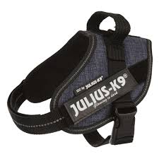 Julius K9 IDC Harness