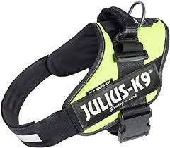 Julius K9 IDC Harness