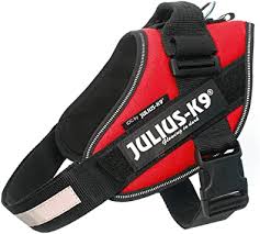 Julius K9 IDC Harness