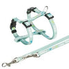 Junior Puppy Harness With Leash 23–34 Cm Mint