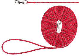 Junior Puppy Tracking Leash Red